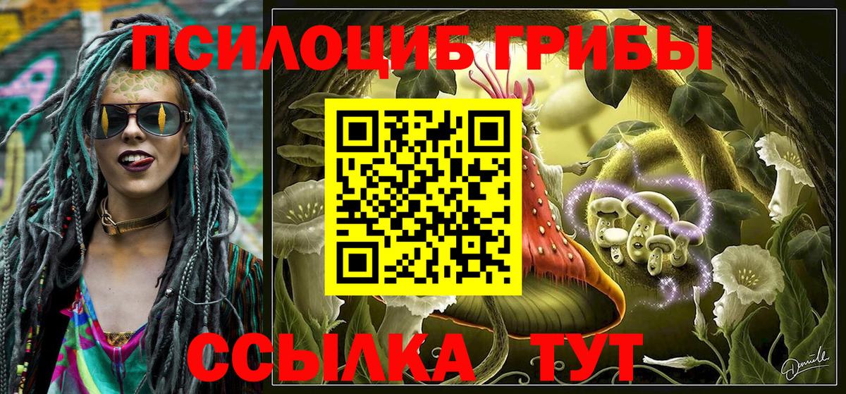 Галлюциногенные грибы MAGIC MUSHROOMS  Вход с VPN  Краснокаменск 