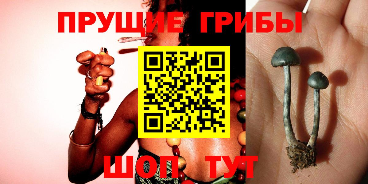 Галлюциногенные грибы мухоморы Краснокаменск